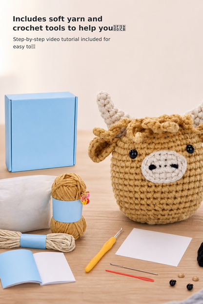 Beginner Learn-to-Crochet Kit