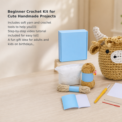 Beginner Learn-to-Crochet Kit